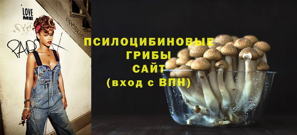герыч Бронницы