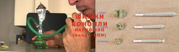 стаф Бугульма