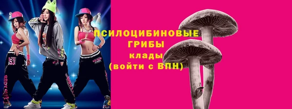 стаф Бугульма