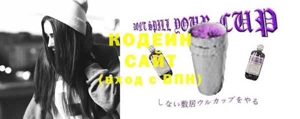 СК Бородино