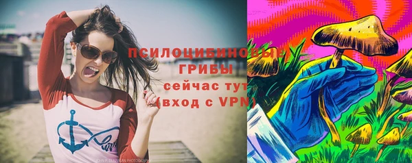 герыч Бронницы