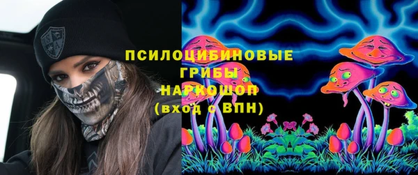 стаф Бугульма