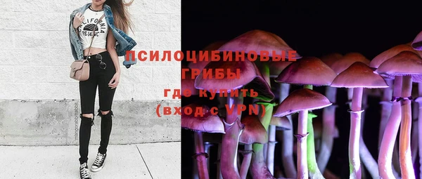 стаф Бугульма